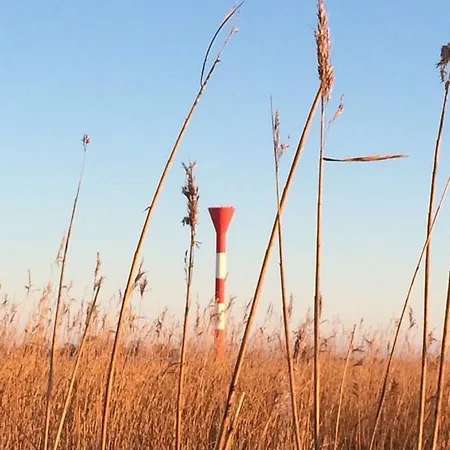 Gaestehaus Zur Linde