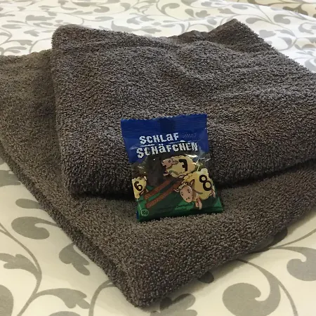 Gaestehaus Zur Linde Penzion